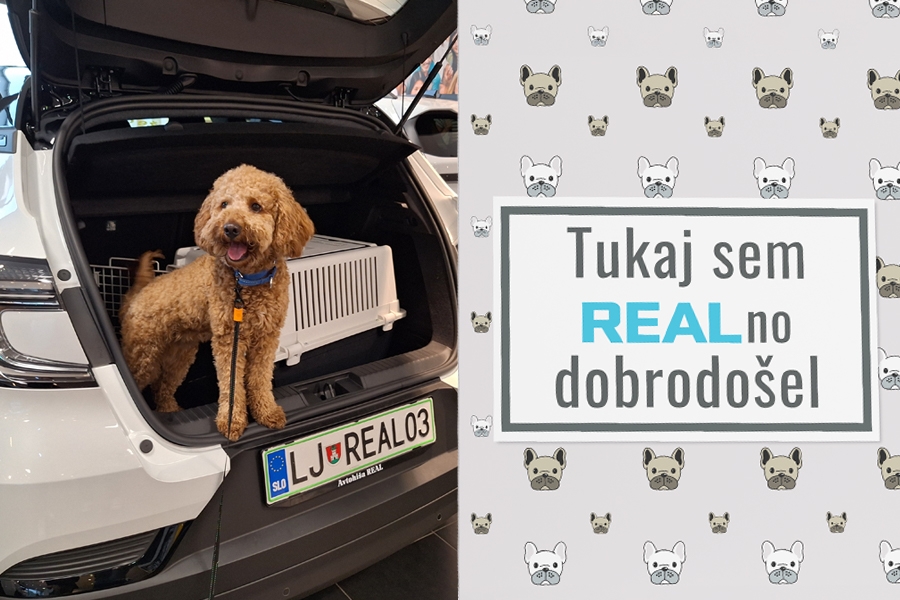 V Remont Kranj z veseljem pozdravljamo tudi vaše štirinožne prijatelje!